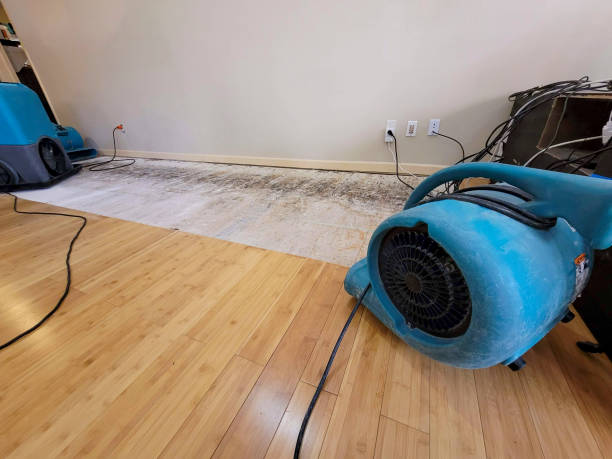 Professional Water Damage Repair technician working in Bay Shore, NY